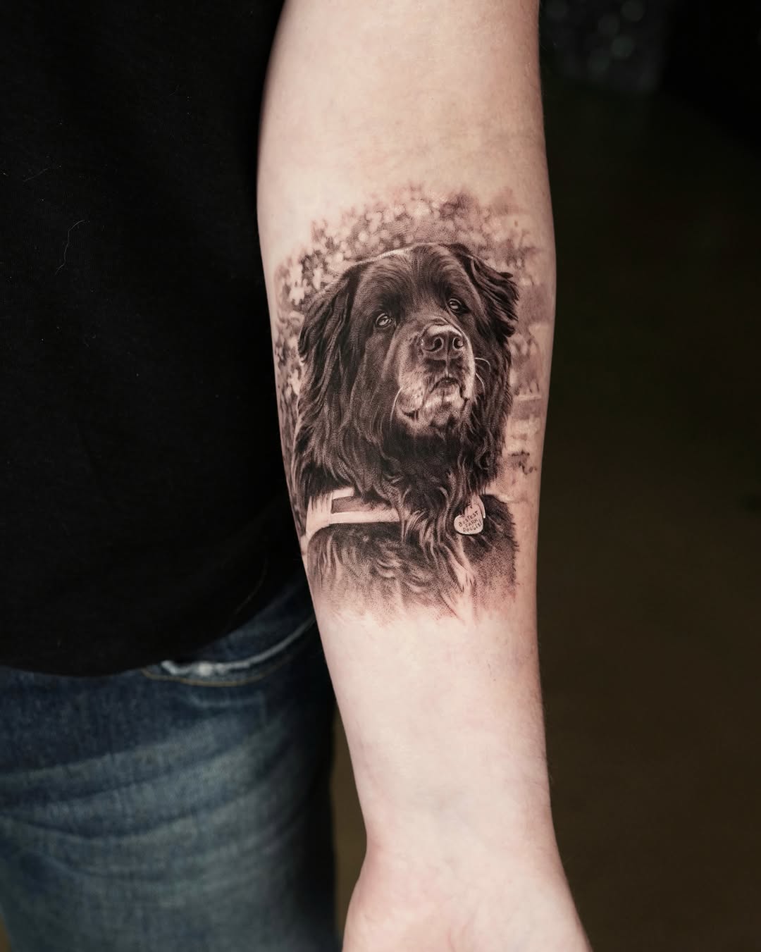 Animal