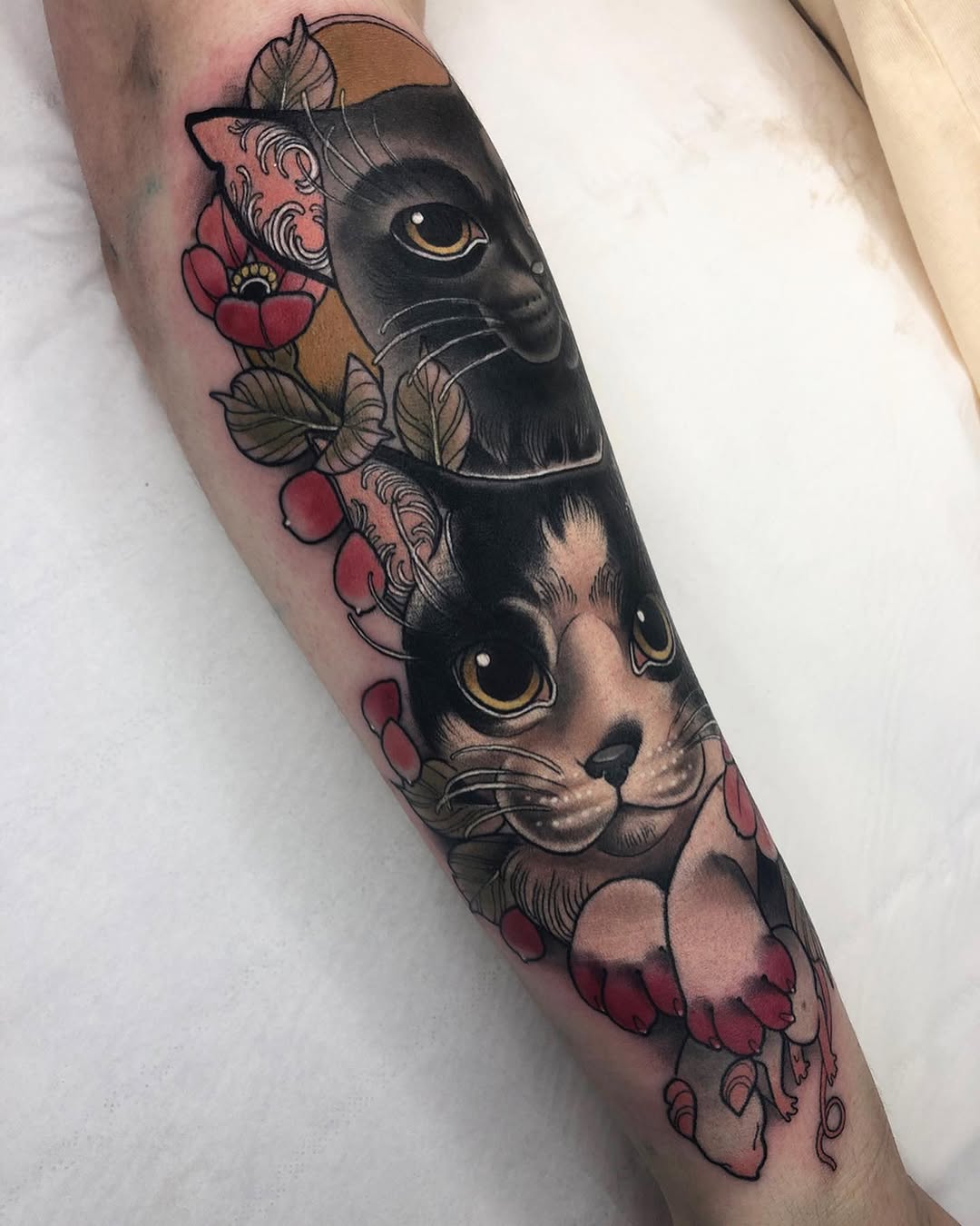 Animal, Tiger