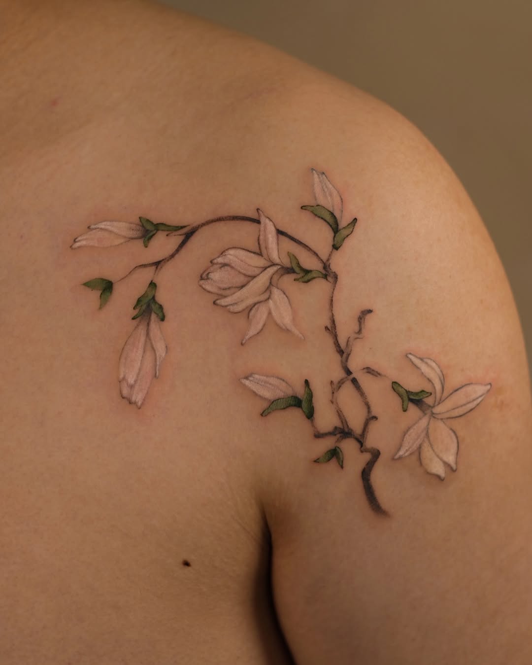 Flower, Rose, Nature