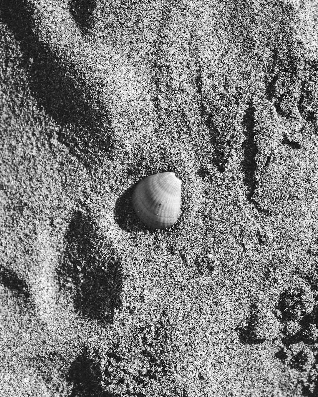 marc.bonin