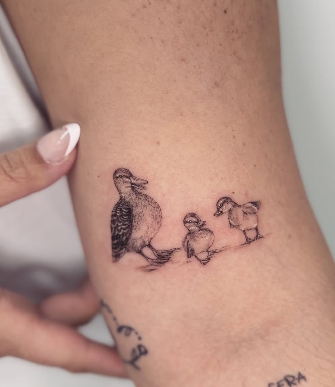 circatattoo