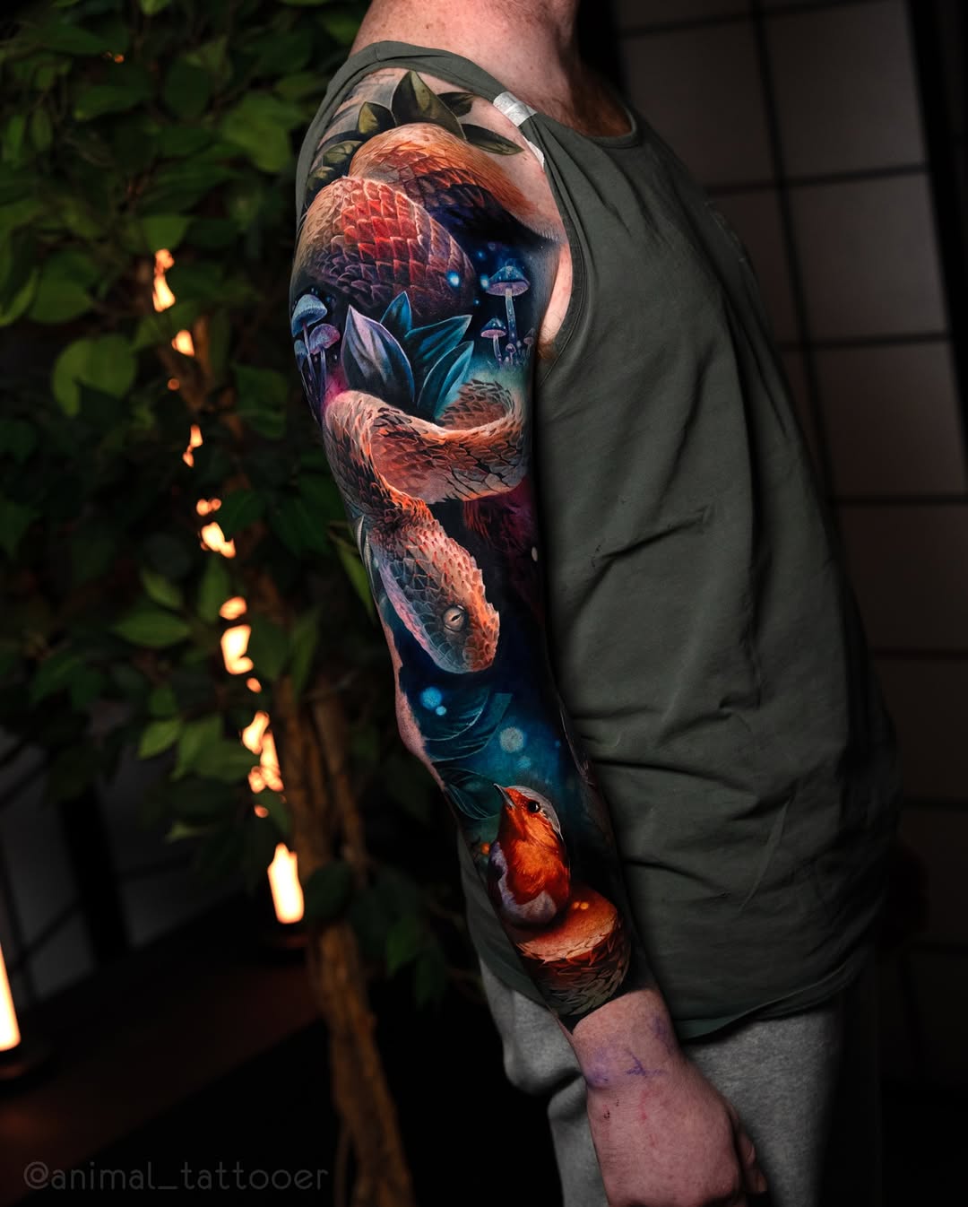 Dragon