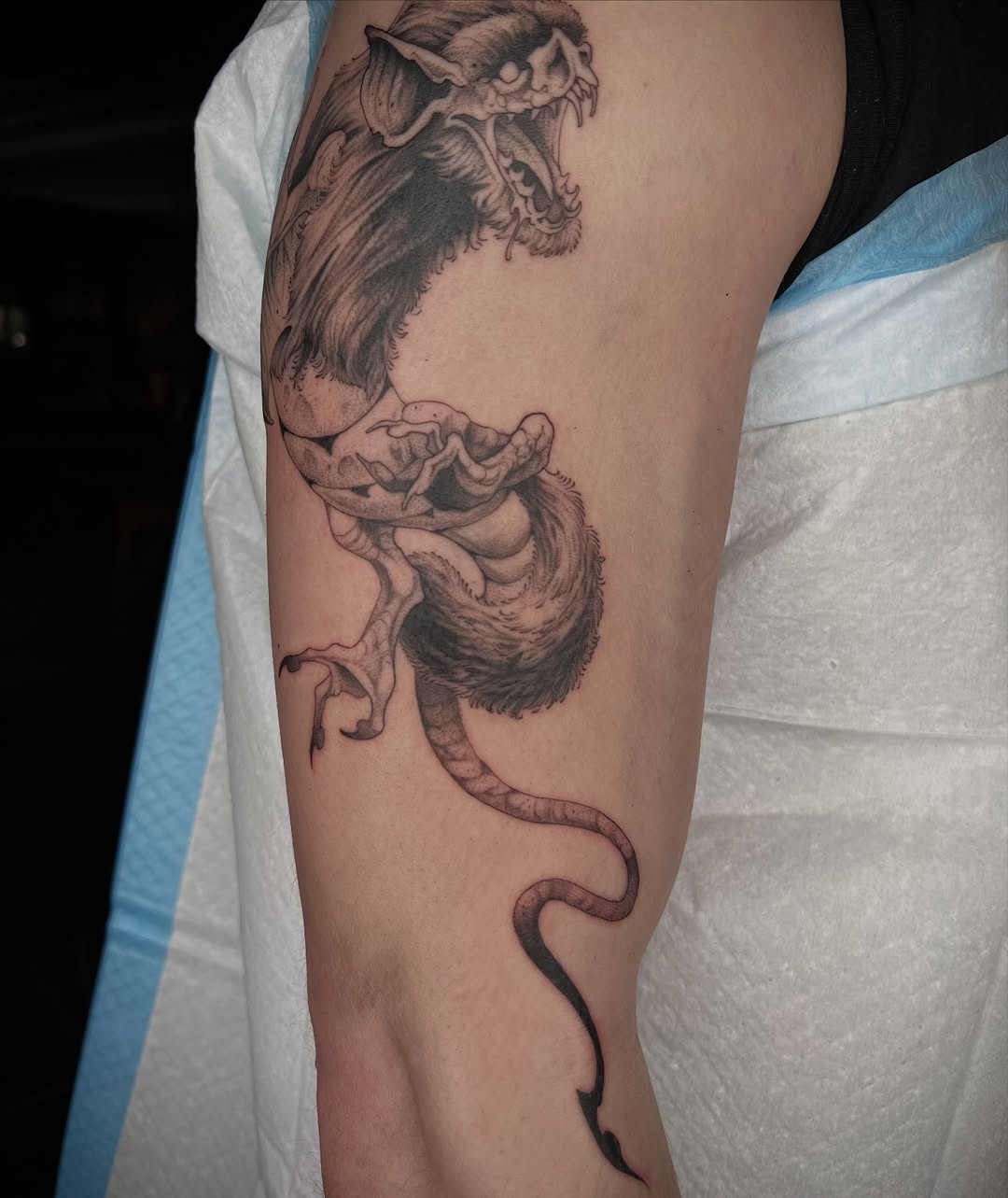 Dragon