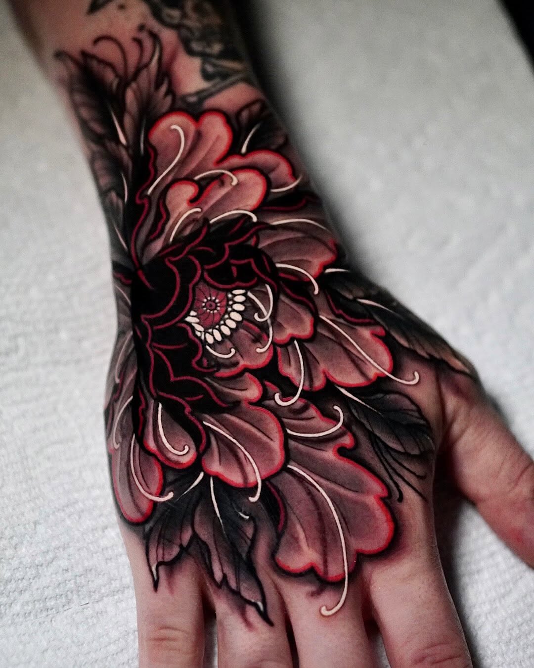 Flower, Rose, Nature
