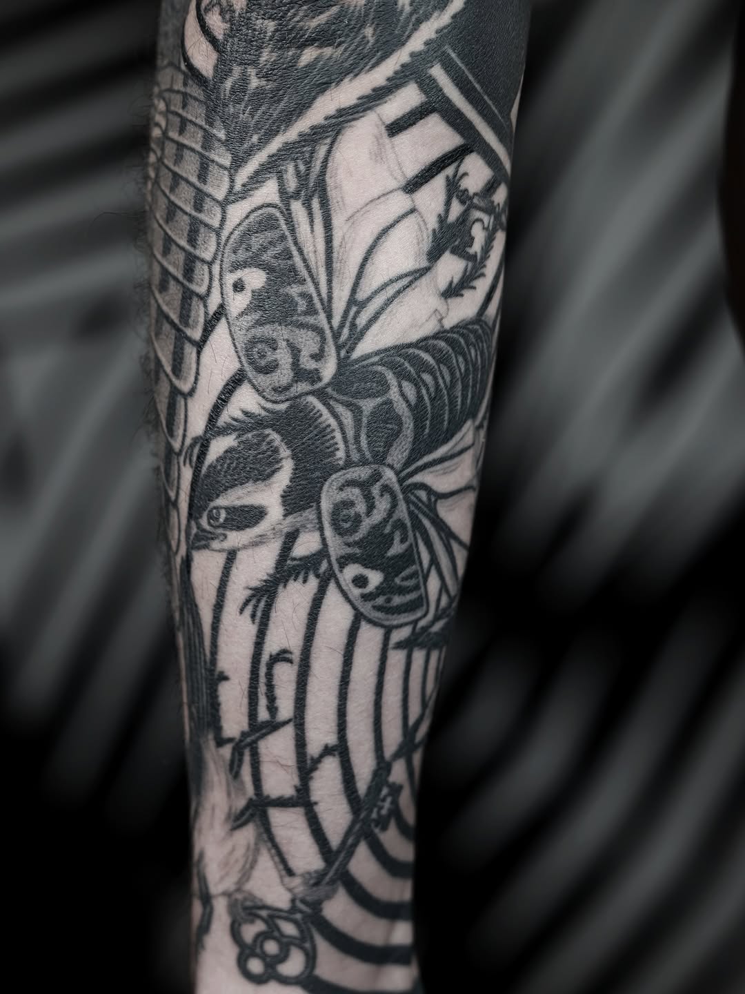 joshstephenstattoos