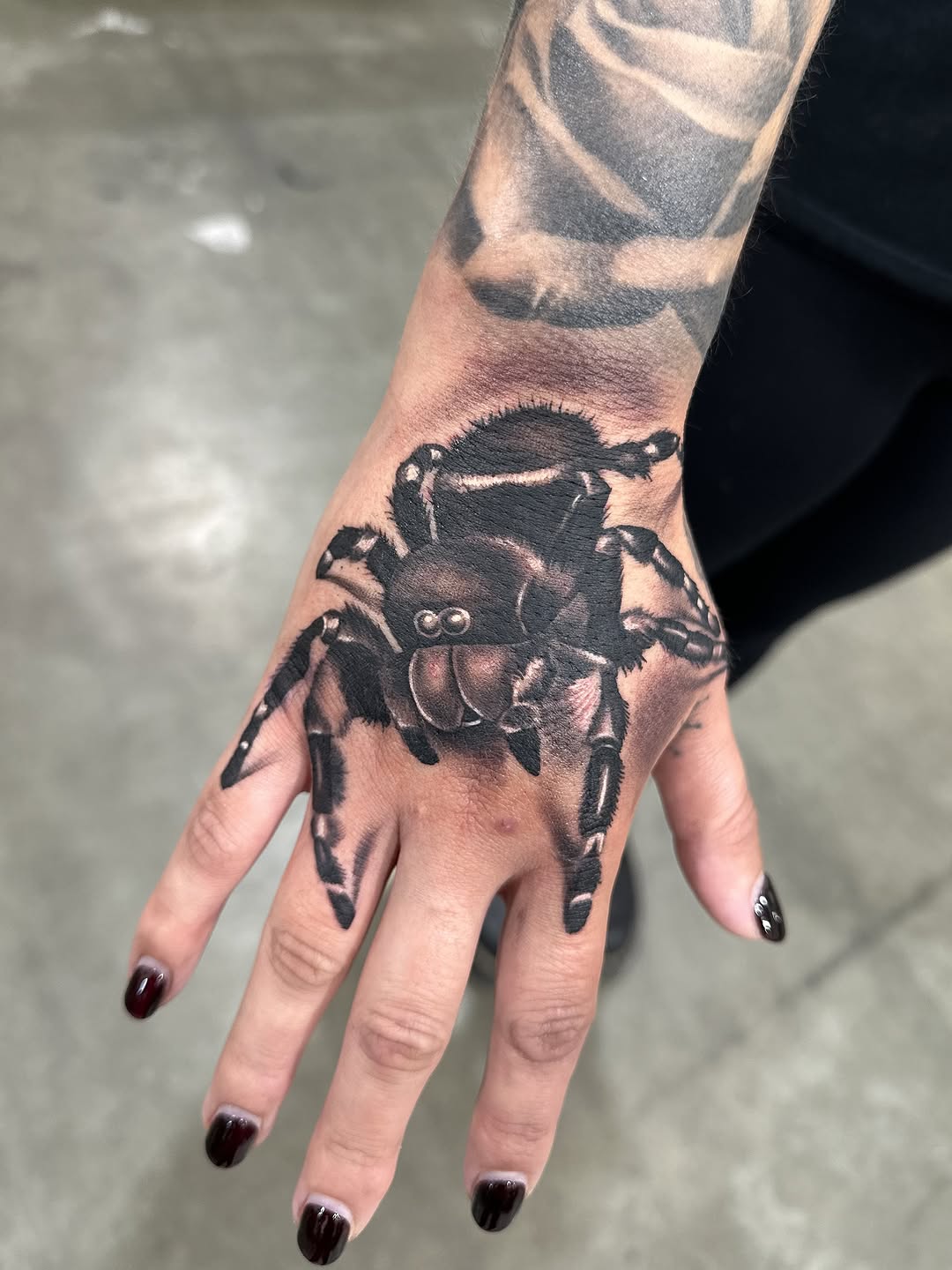 Animal, 팬서, 재규어, 사자자리