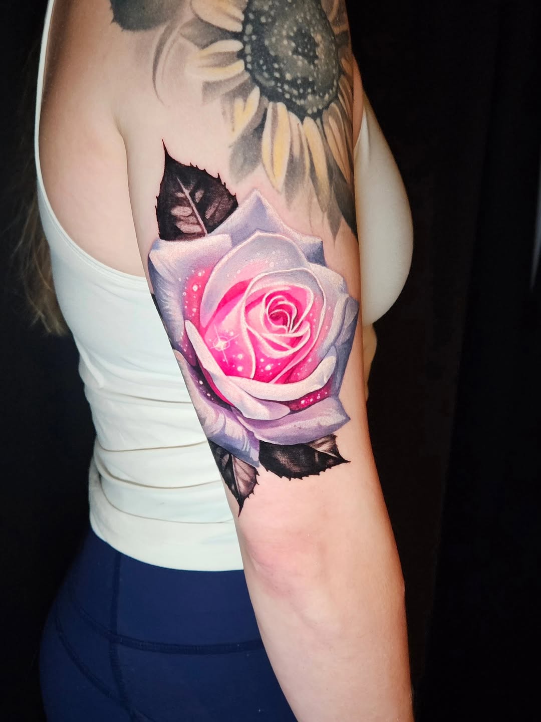 Flower, Rose, Nature