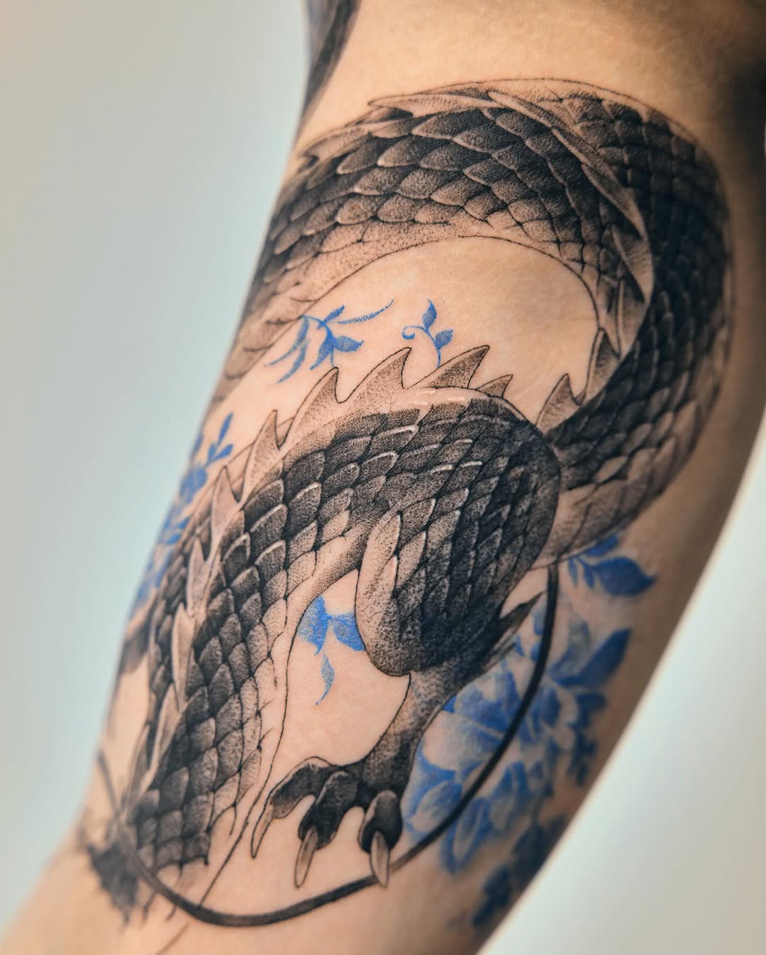 Dragon, 일본 학