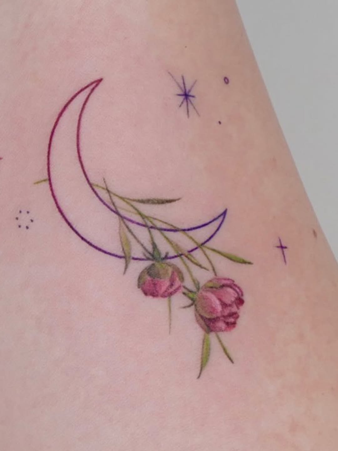 Flower, Nature, Rose