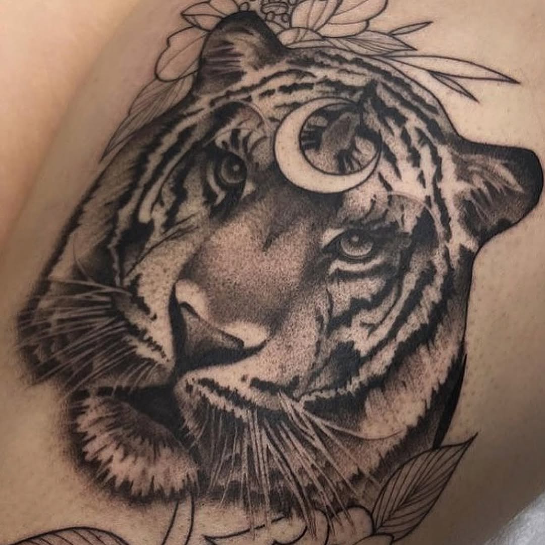 Animal, Nature