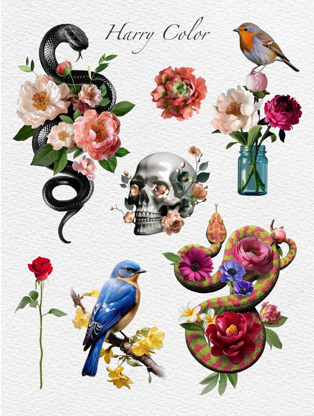 Animal, Flower