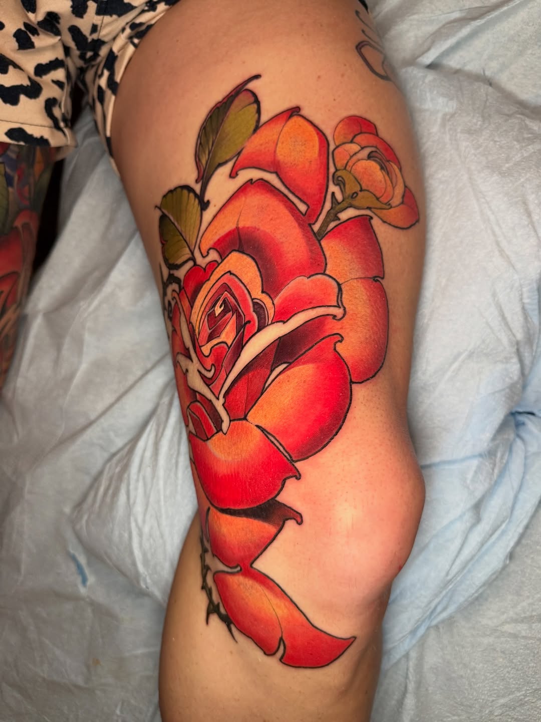 Flower, Rose