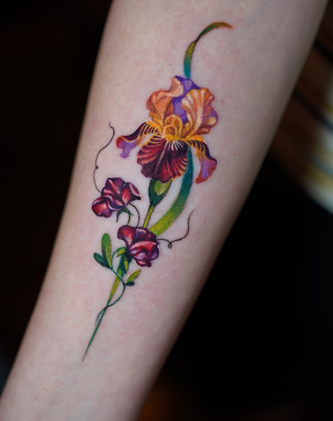 Flower, 아이리스, 난초