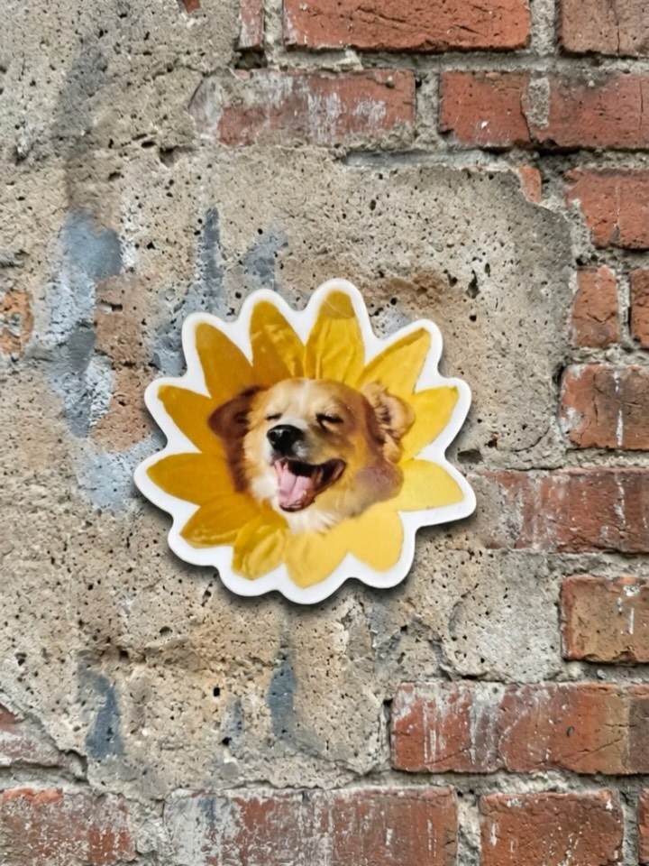 Animal, 여우