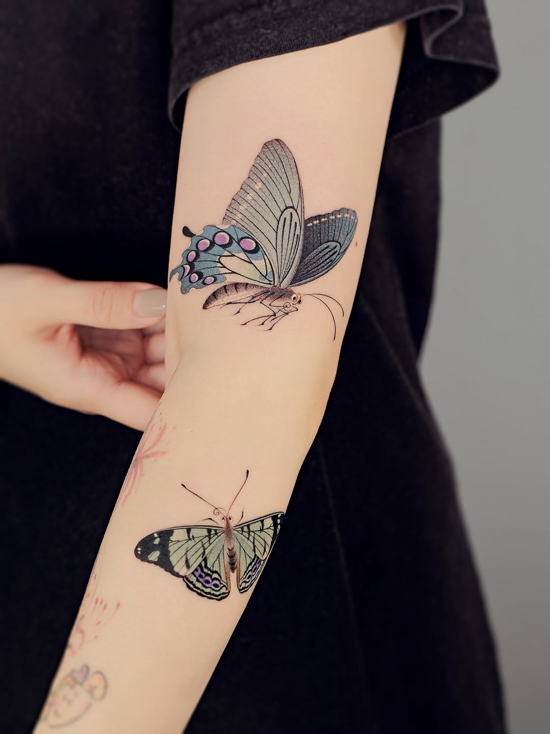 Animal, Nature, 나비