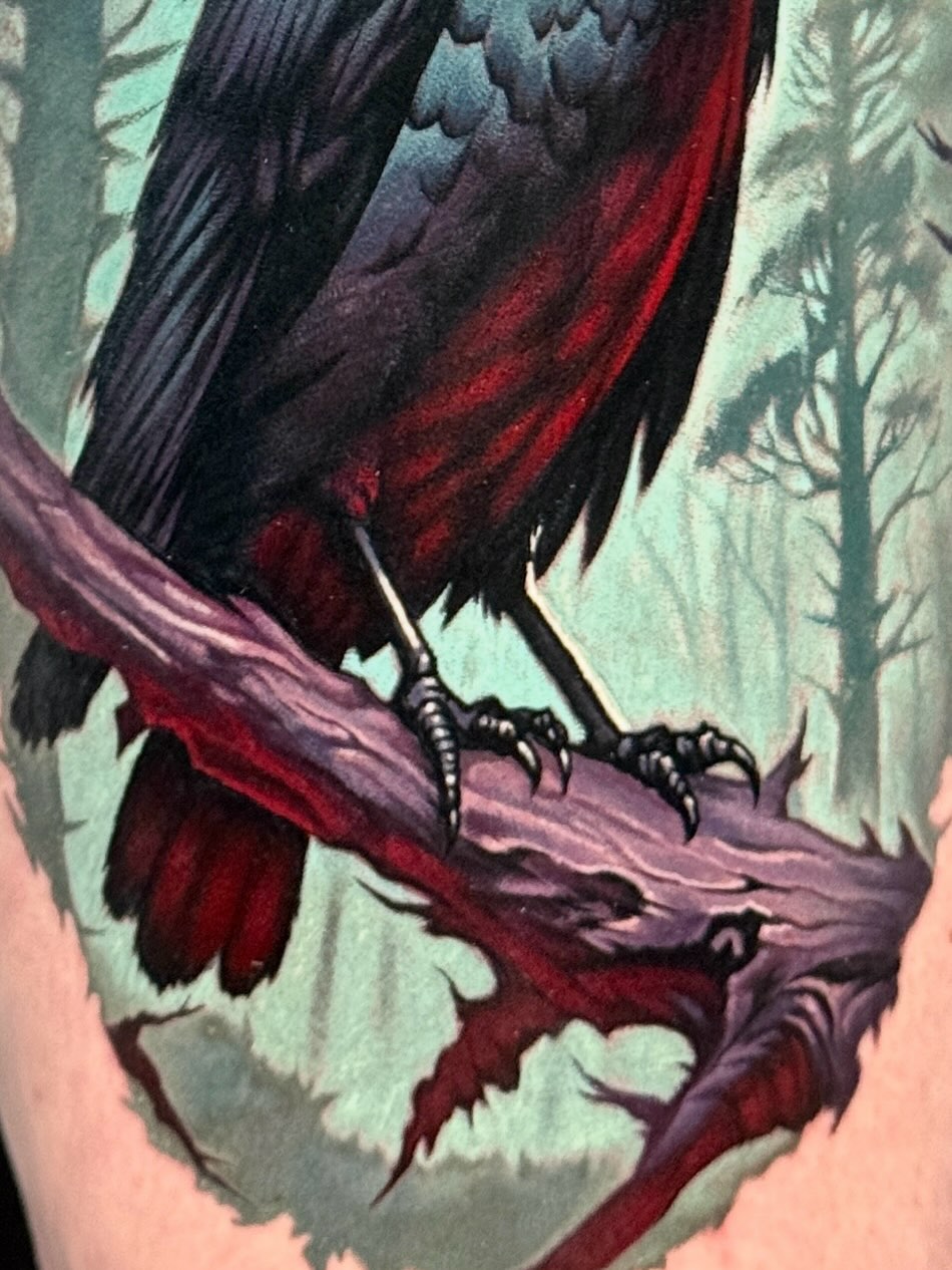 Animal