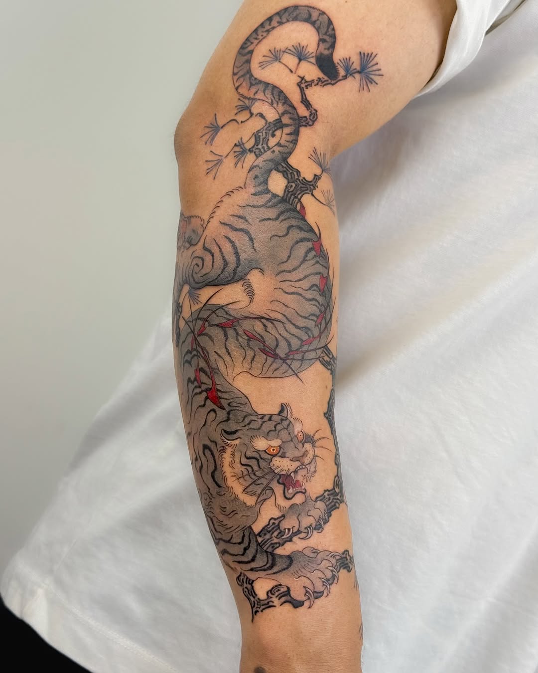 Tiger