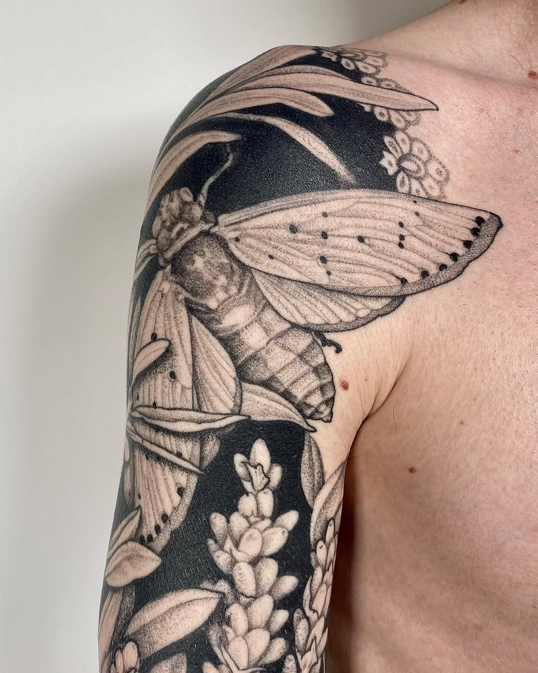 Flower, Animal, Nature, Rose