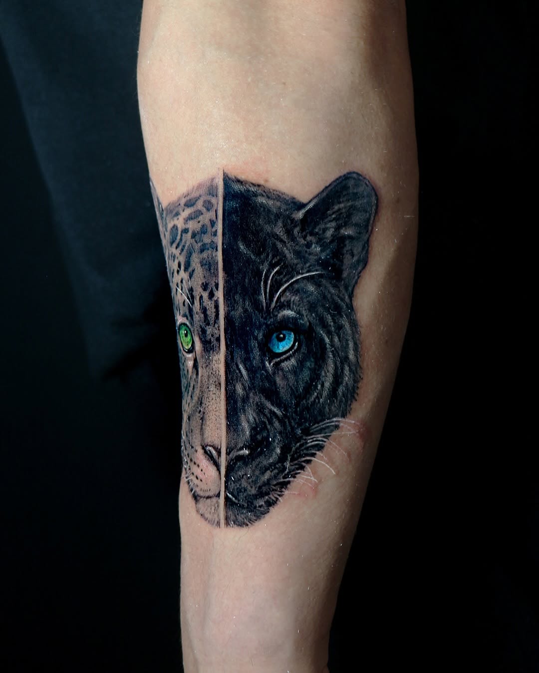 Animal, 표범, 재규어