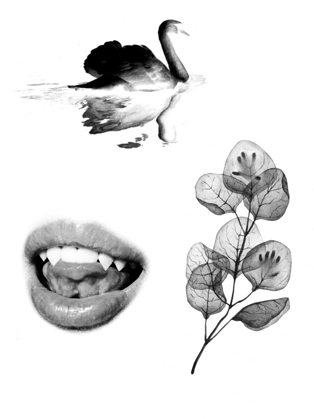 plantsnpokes