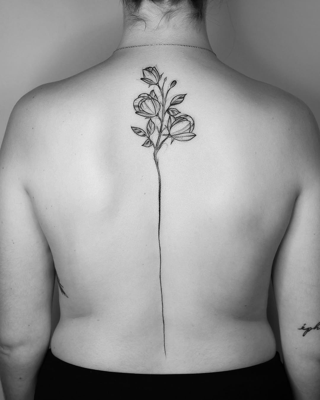 Flower, Rose, Nature