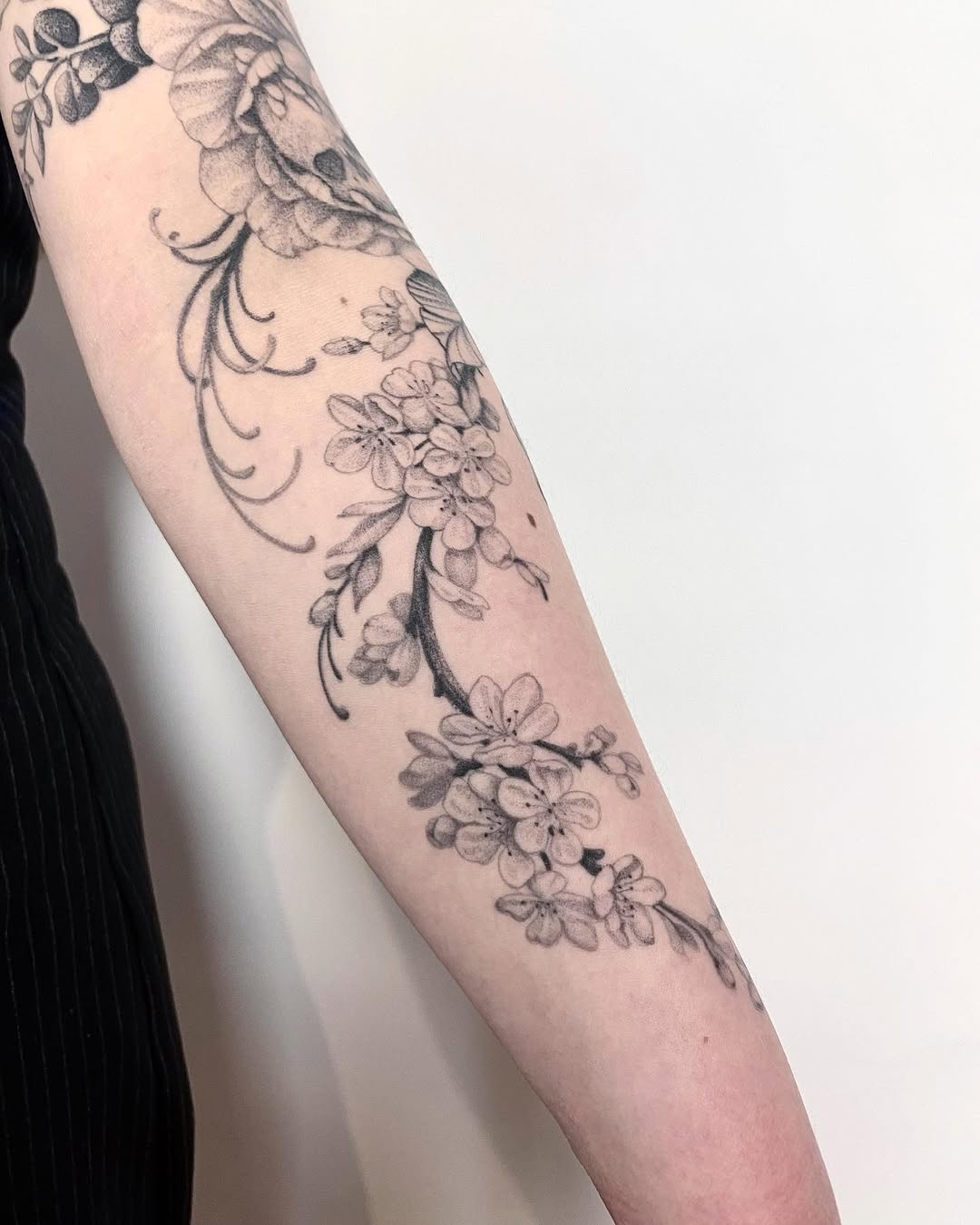 Flower, Rose, Nature