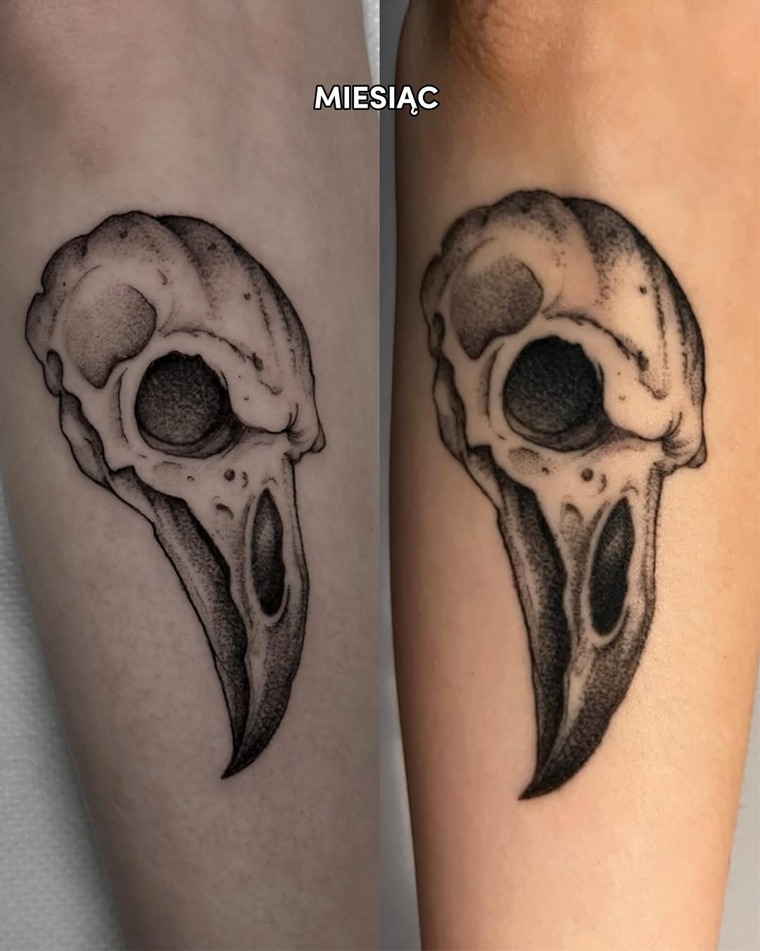 sve.tattoo