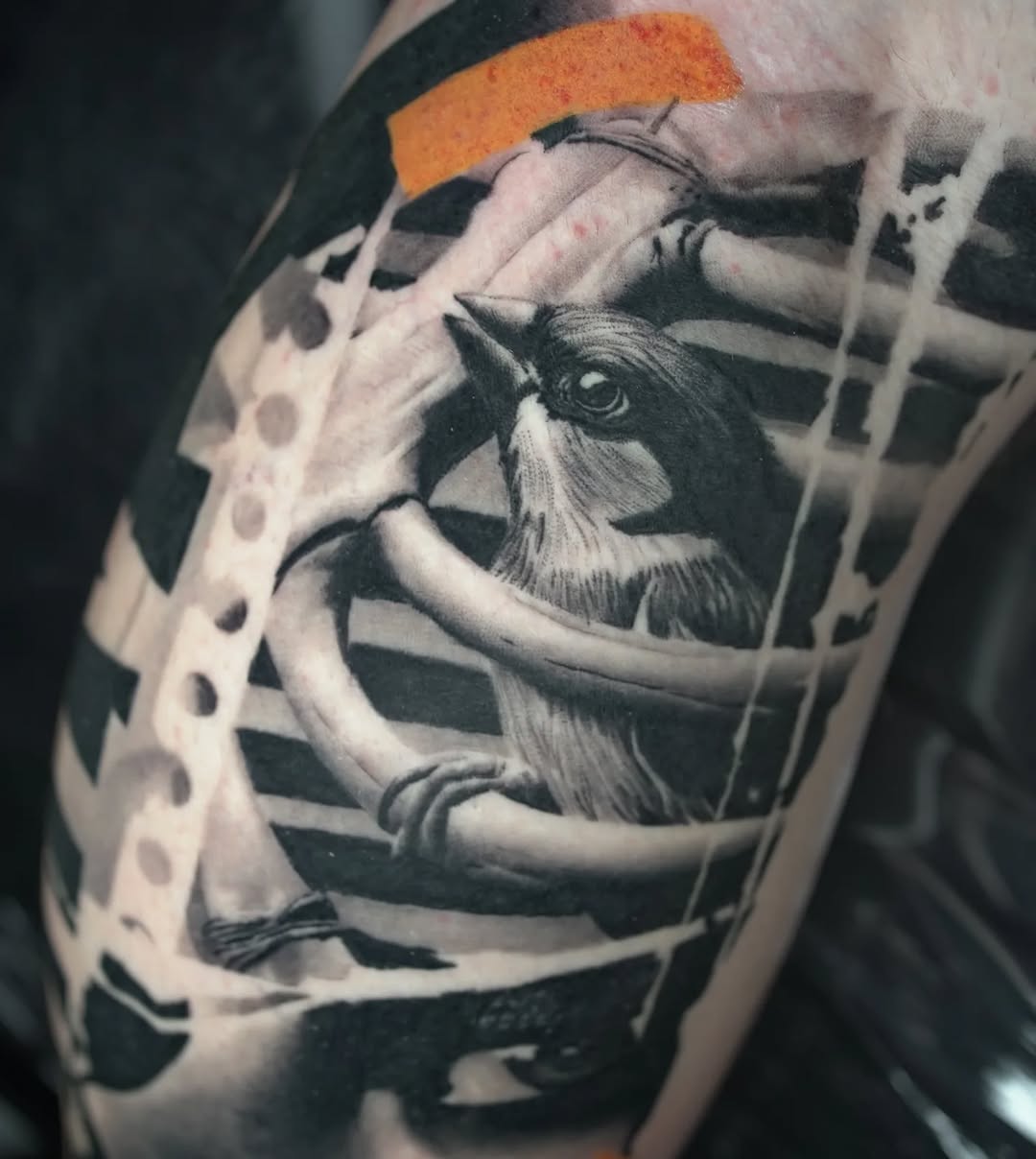 G R E G • TATTOOS