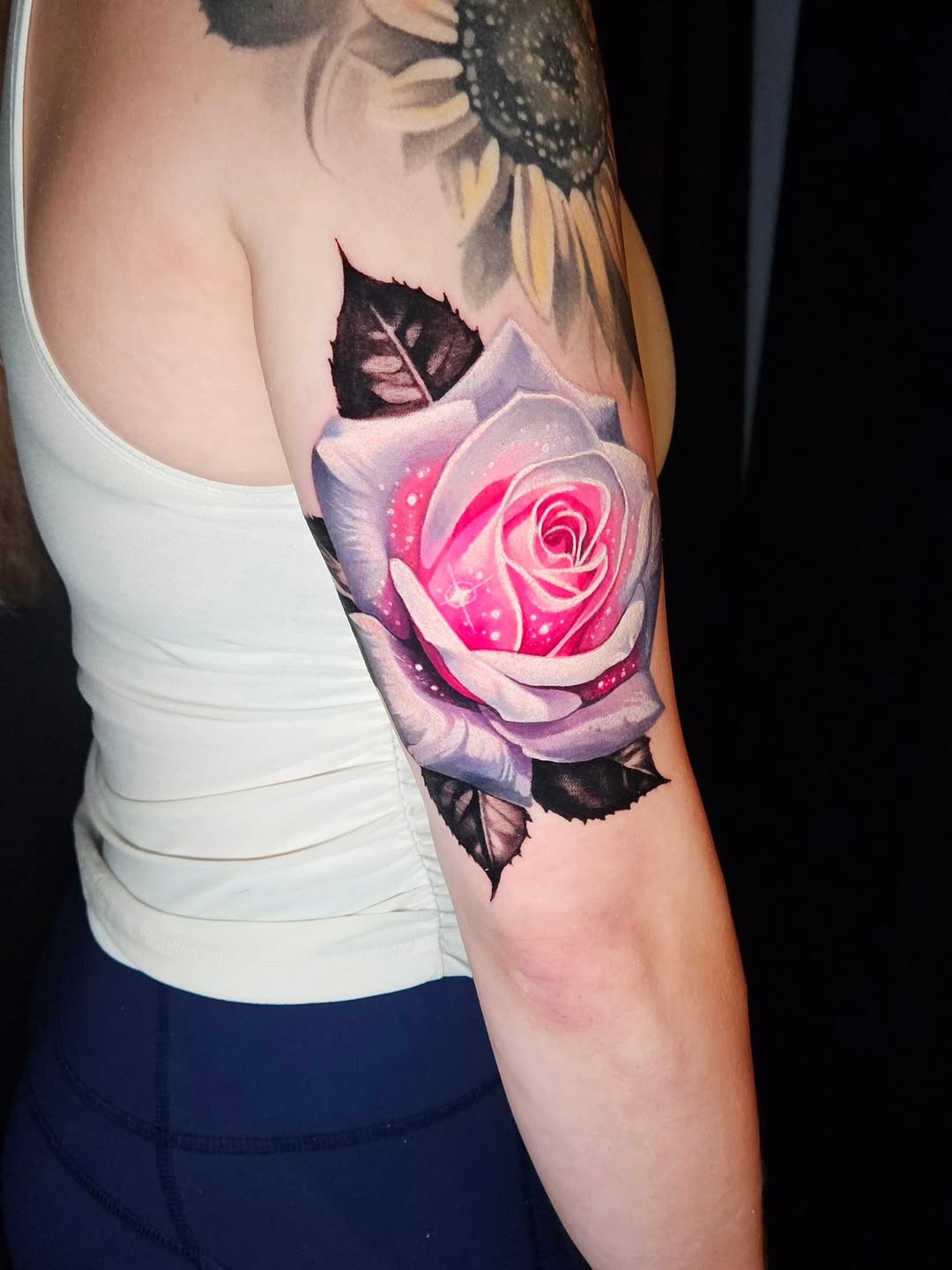 Flower, Rose, Nature