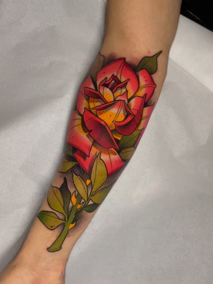 Flower, Rose