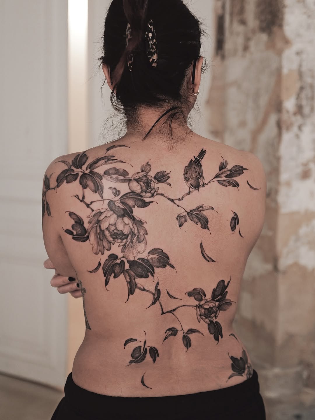 Flower, Nature, Rose