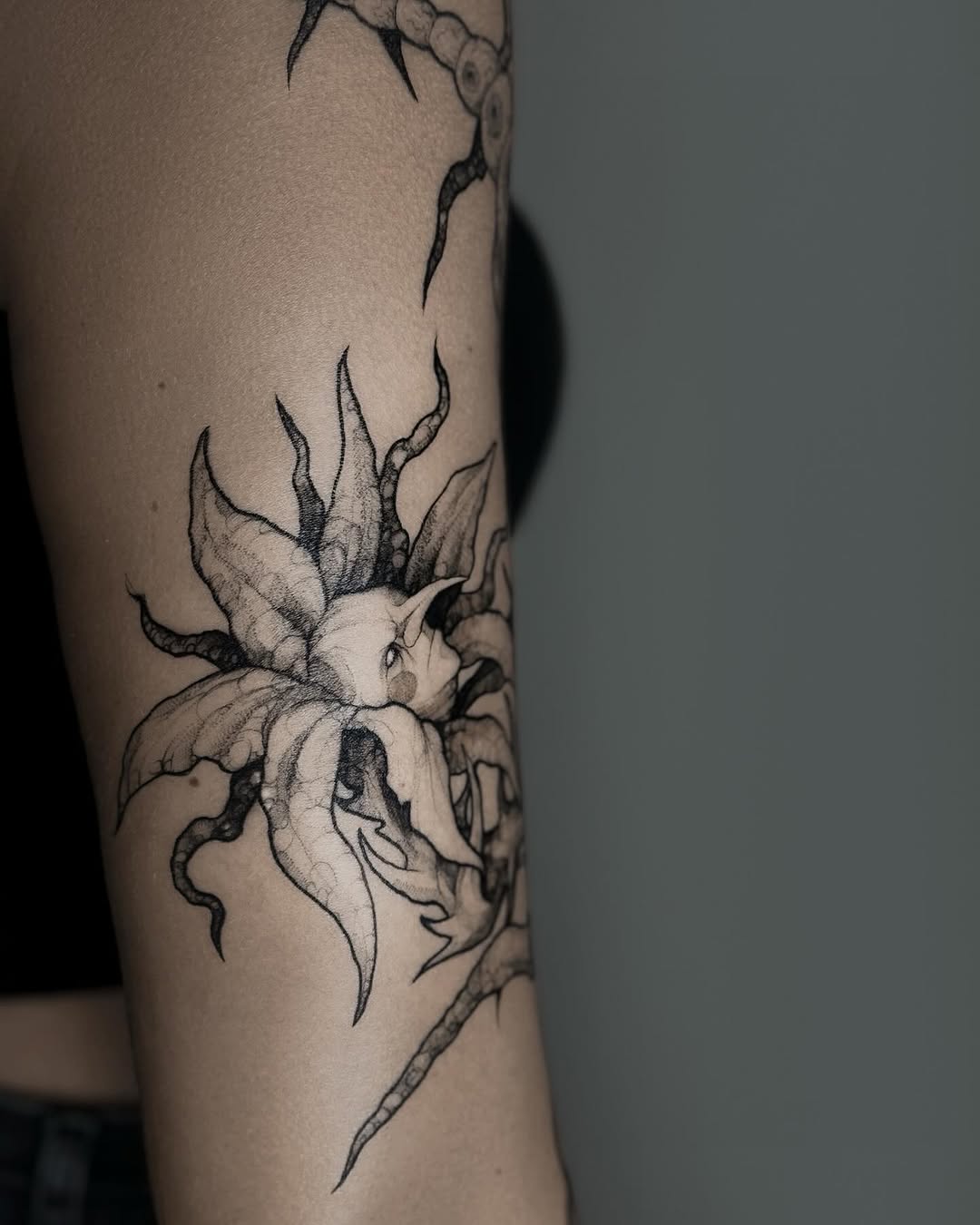 mogilkinatattooer