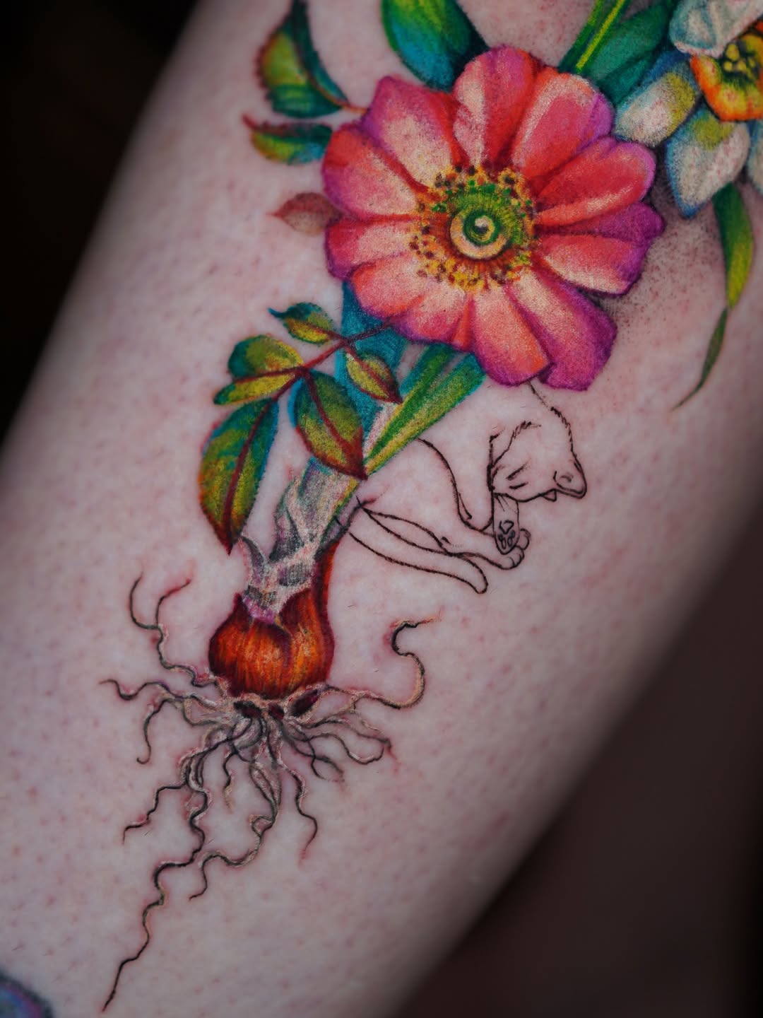 Flower, Rose