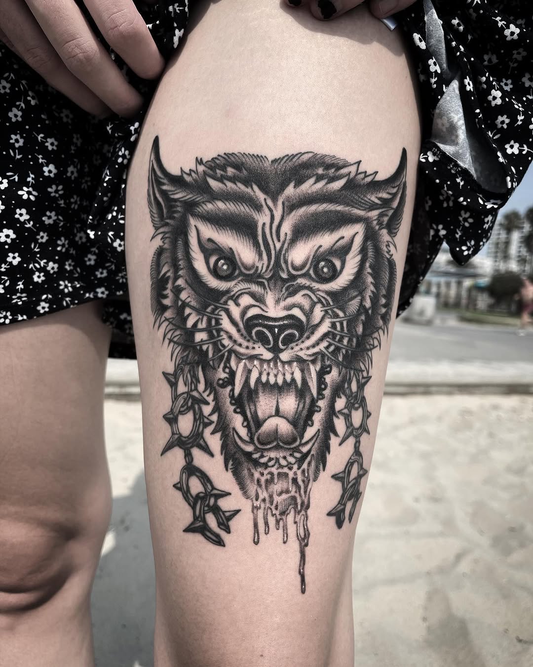 Tiger, Animal