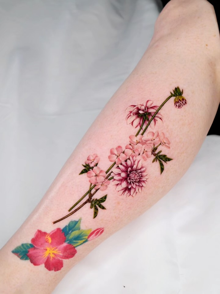 Flower, Rose