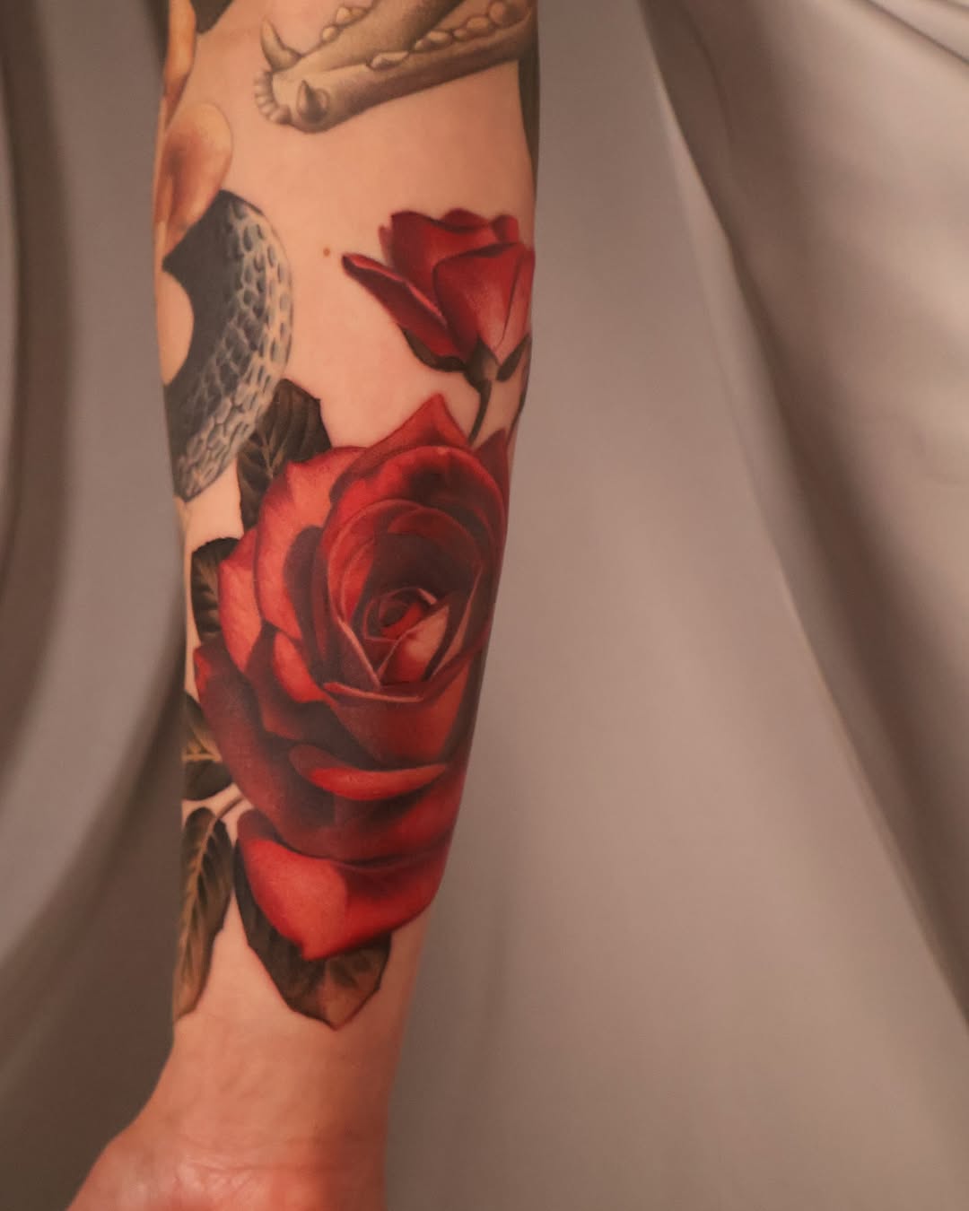 Flower, Rose