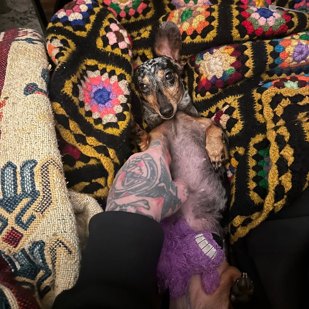 rempetattoo