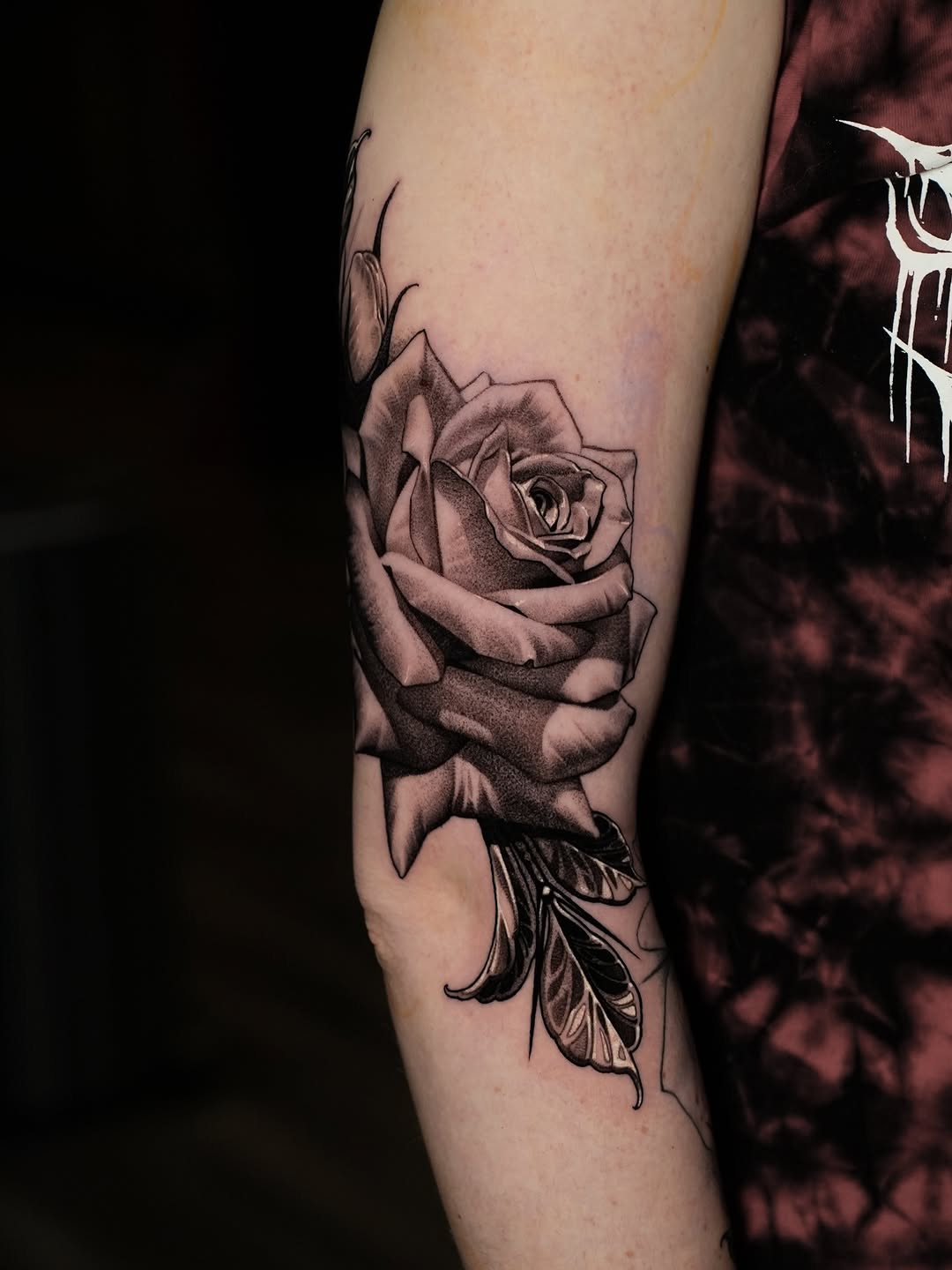 Flower, Rose