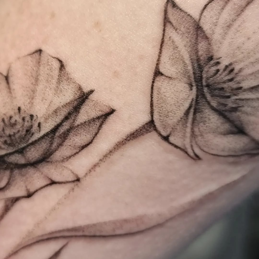 Rose, Flower
