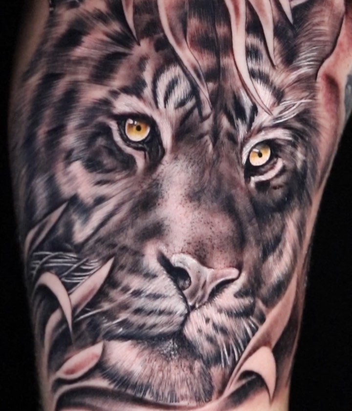 Tiger