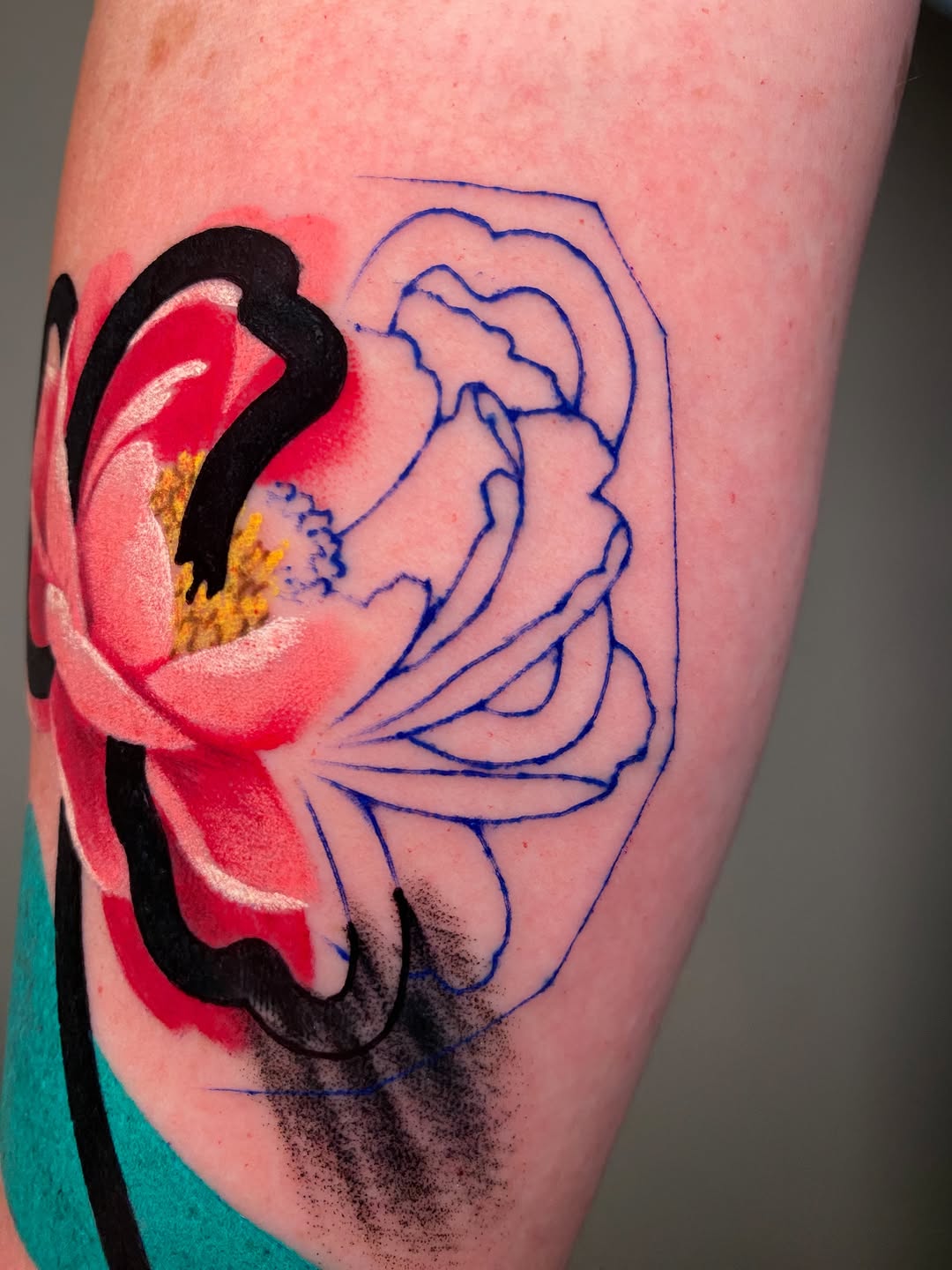 Flower, Rose