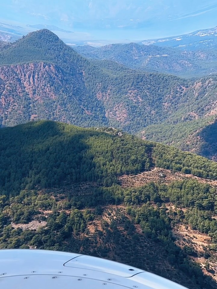 vladollla