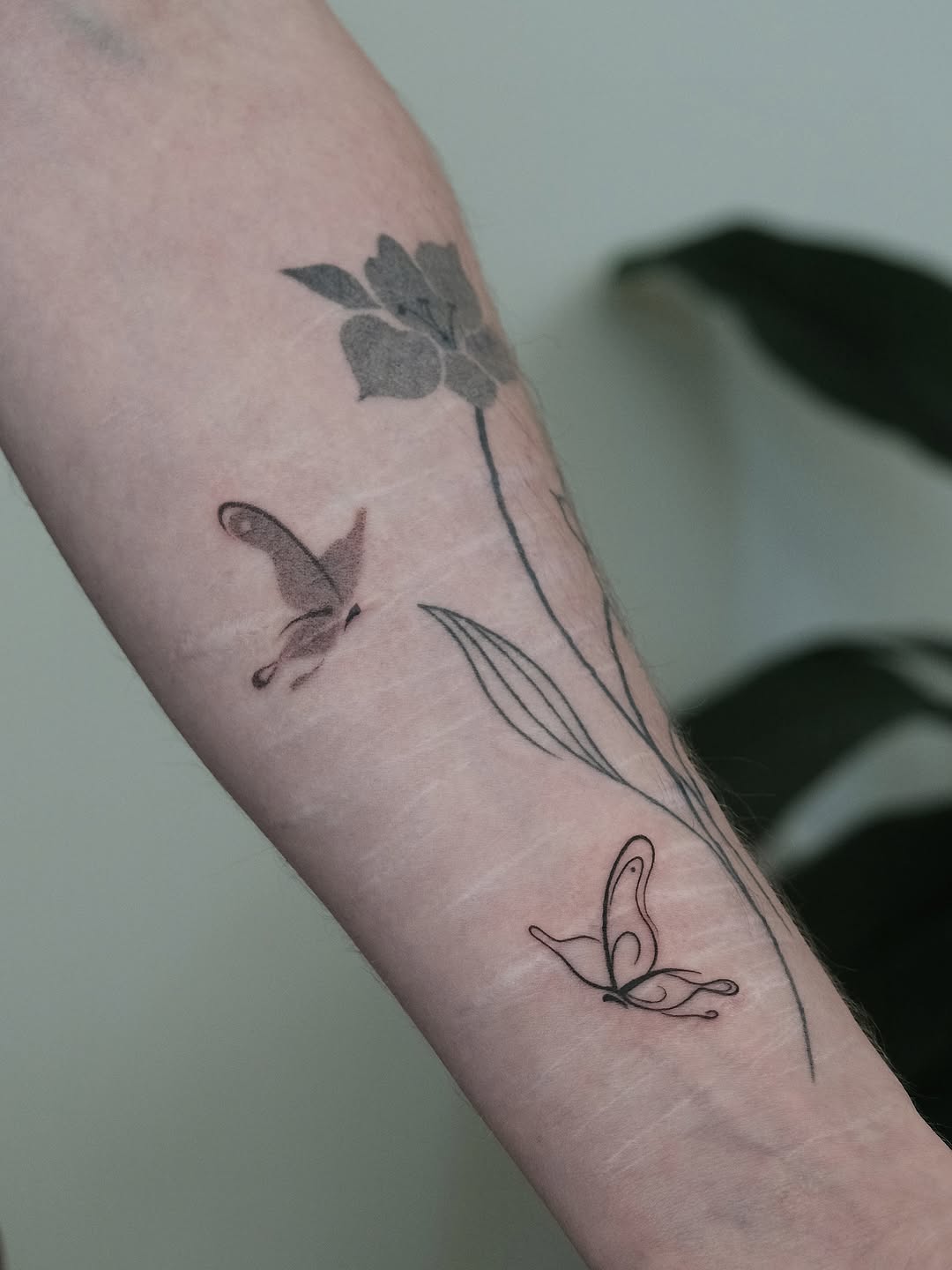 teddyxtattoo