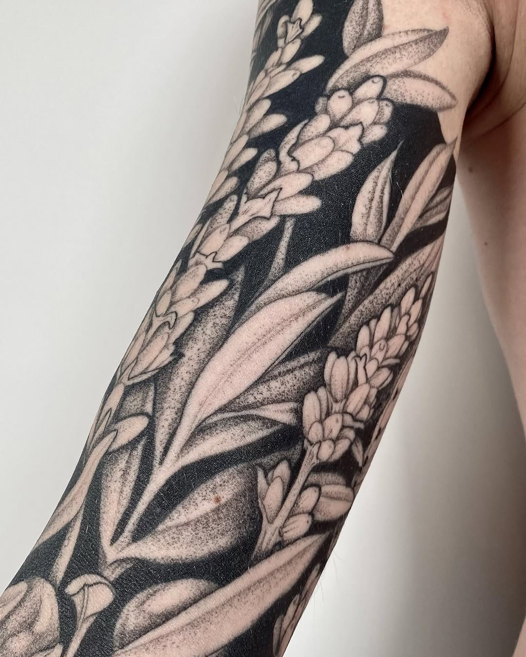 Flower, Animal, Nature, Rose