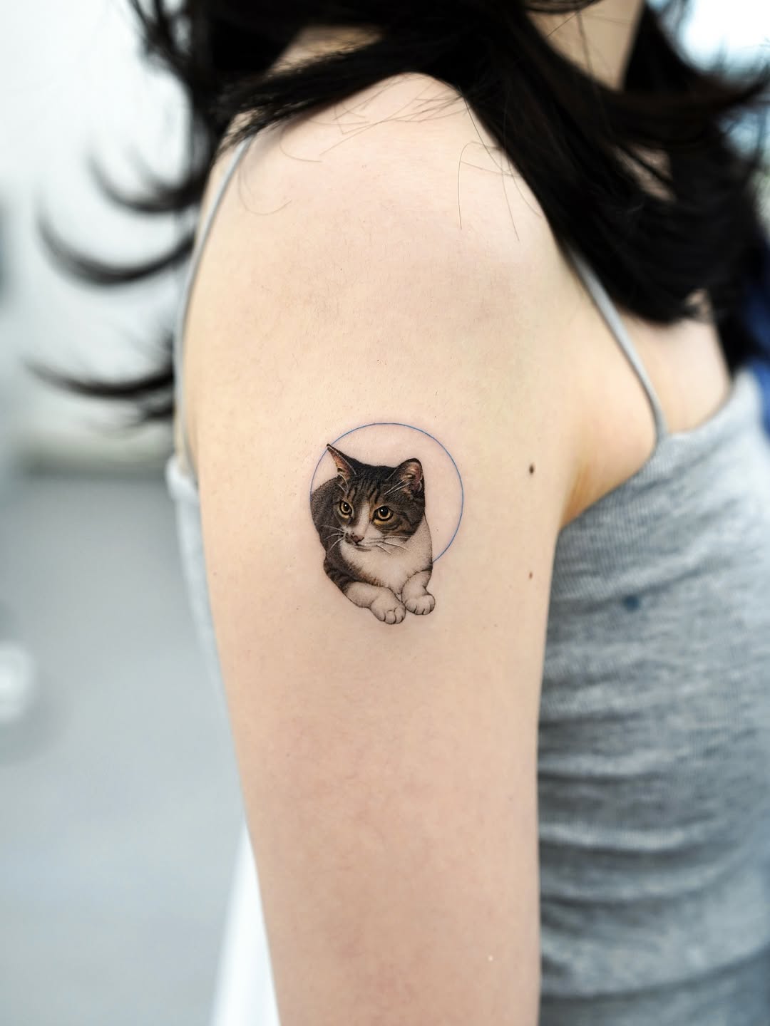 고양이