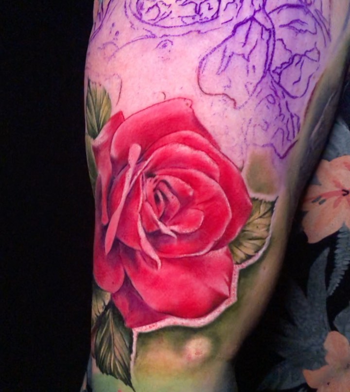 Flower, Rose
