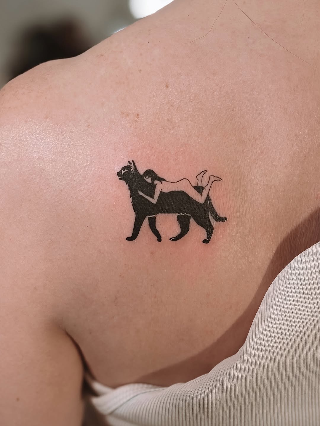 Tiger, Animal, 치타, 팬서, 표범, 여우 가면