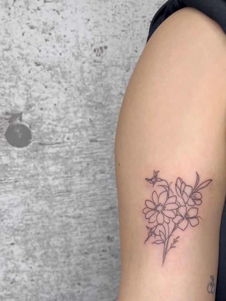 Flower, Nature, Rose