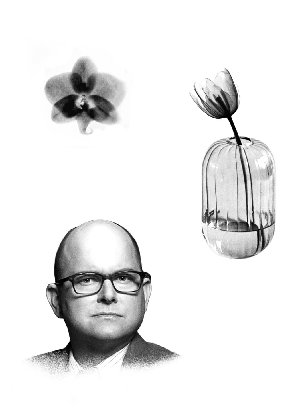 plantsnpokes