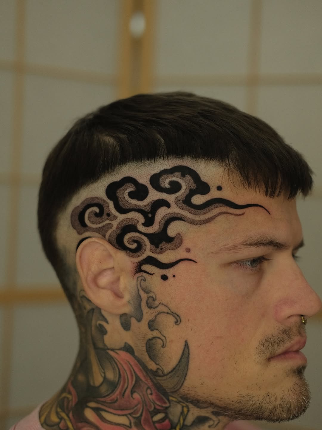 Dragon, 뇌